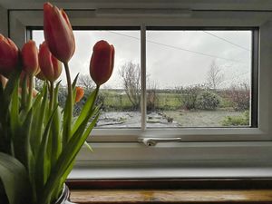 Photo 15- click for photo gallery